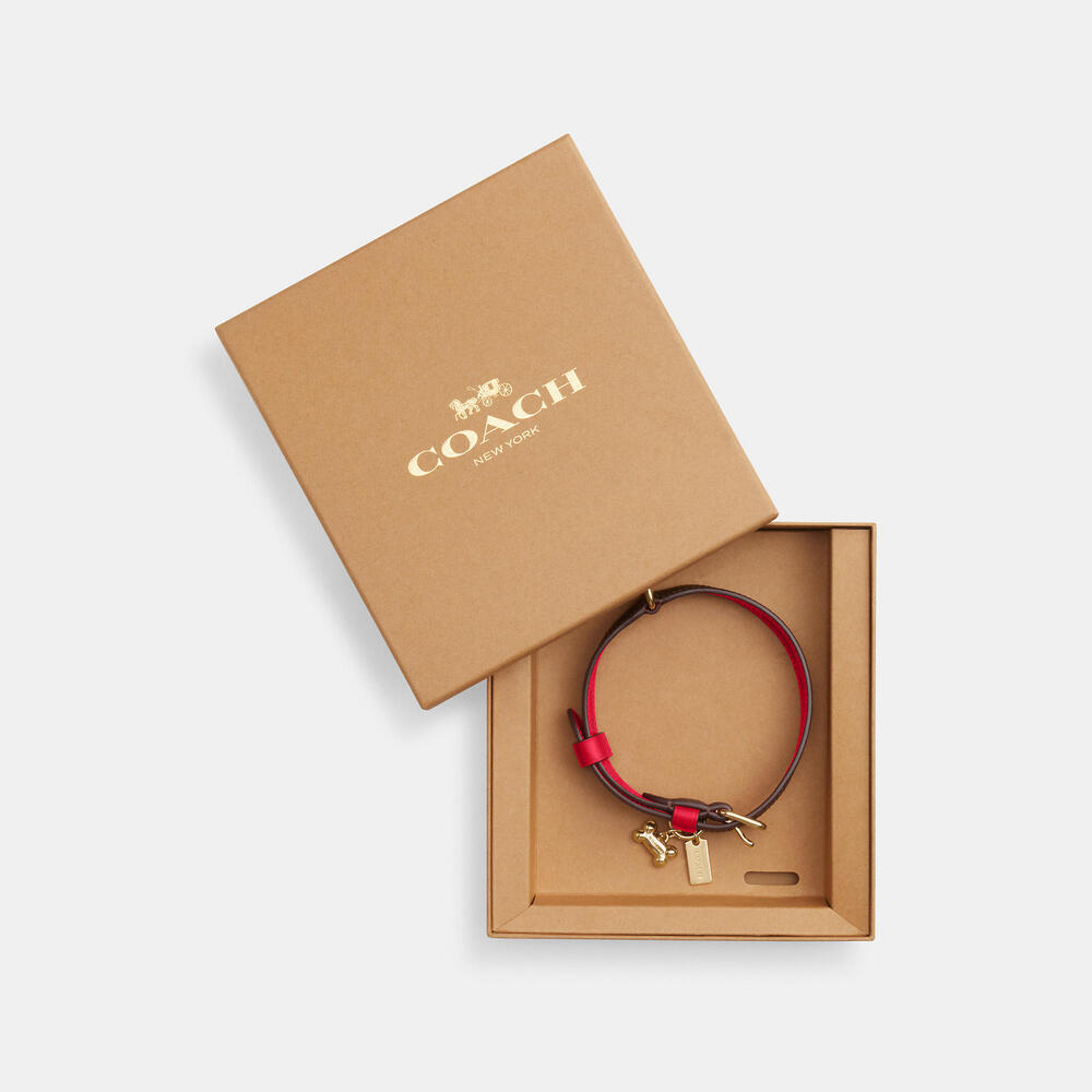 Boxed Medium Pet Collar In Signature Canvas